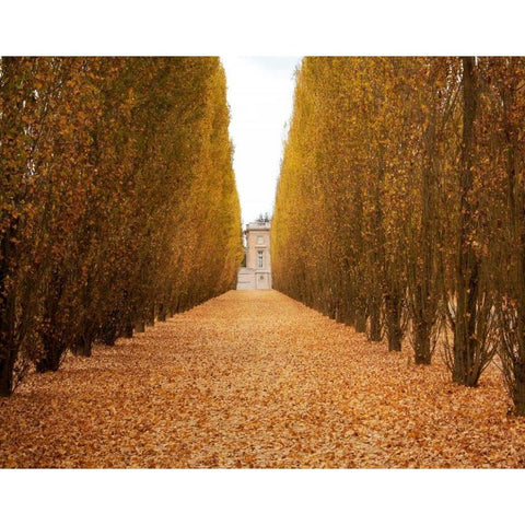 Versailles in Fall II White Modern Wood Framed Art Print by Navas, Emily