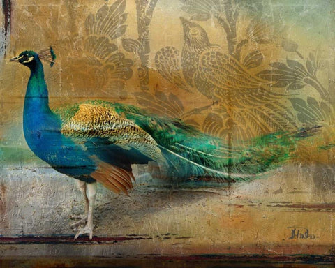 Feathered Dreams I White Modern Wood Framed Art Print with Double Matting by Pinto, Patricia