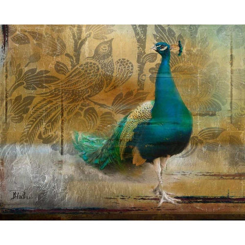 Feathered Dreams II Black Modern Wood Framed Art Print with Double Matting by Pinto, Patricia