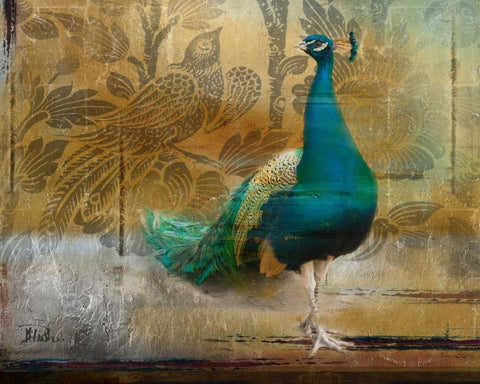 Feathered Dreams II Black Ornate Wood Framed Art Print with Double Matting by Pinto, Patricia