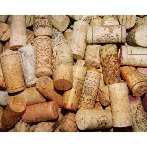 Corks II White Modern Wood Framed Art Print by French-Roussia, Heather A.