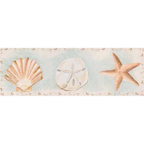 Sandy Shells I Black Modern Wood Framed Art Print with Double Matting by Hakimipour, Tiffany