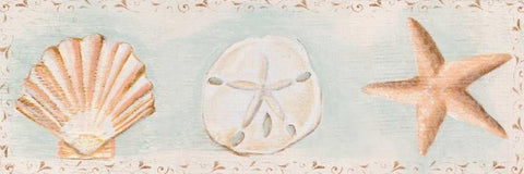 Sandy Shells I White Modern Wood Framed Art Print with Double Matting by Hakimipour, Tiffany