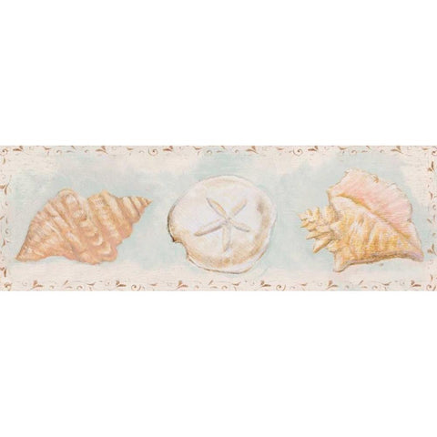 Sandy Shells II Black Modern Wood Framed Art Print with Double Matting by Hakimipour, Tiffany