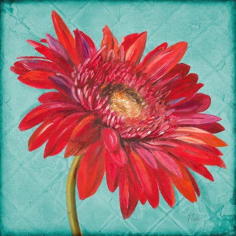 Joyful Daisy White Modern Wood Framed Art Print with Double Matting by Pinto, Patricia