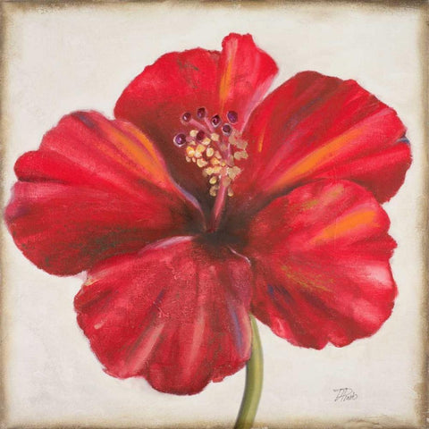 Red Hibiscus Black Modern Wood Framed Art Print by Pinto, Patricia