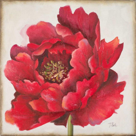 Red Peony Black Modern Wood Framed Art Print by Pinto, Patricia