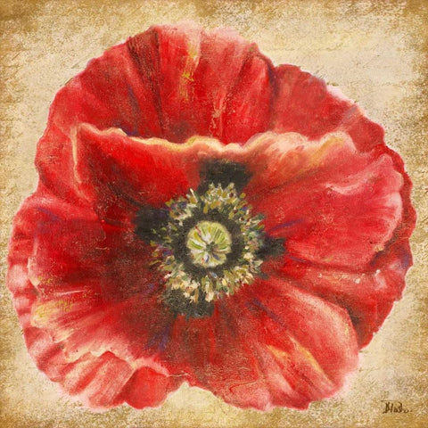 Red Poppy on Gold Black Modern Wood Framed Art Print with Double Matting by Pinto, Patricia