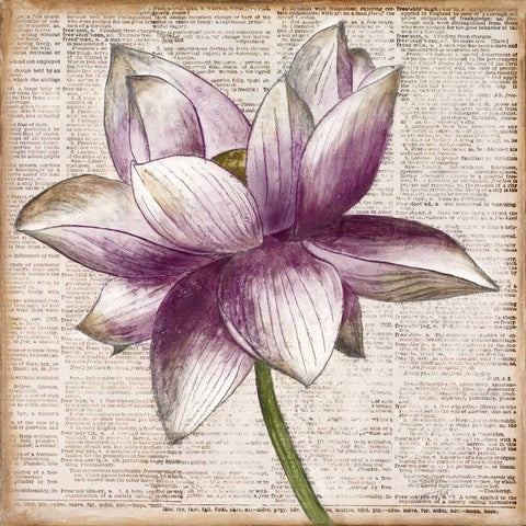 Defined Lotus I Black Ornate Wood Framed Art Print with Double Matting by Pinto, Patricia