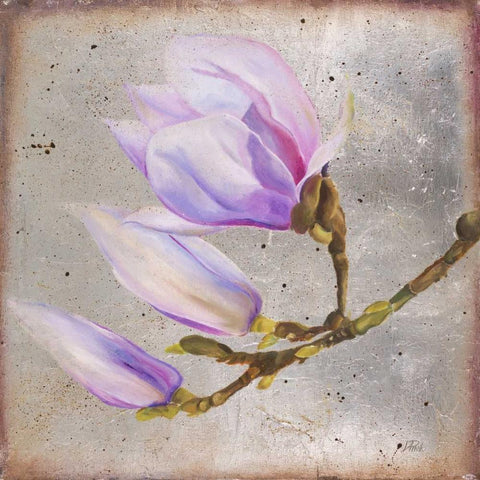 Magnolia on Silver Leaf I Black Modern Wood Framed Art Print with Double Matting by Pinto, Patricia
