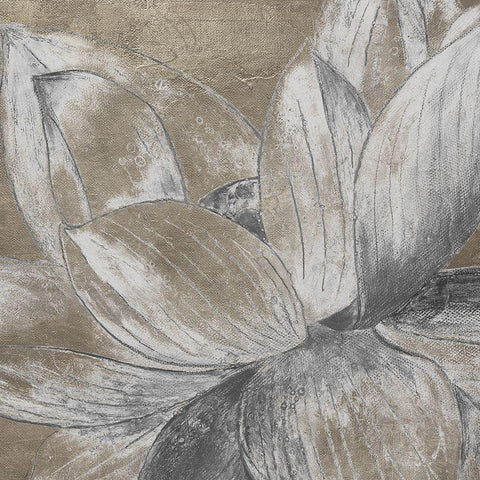 Soft Lotus White Modern Wood Framed Art Print by Pinto, Patricia