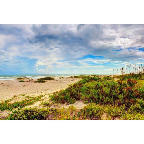Beach Island II White Modern Wood Framed Art Print by Bonnett, Stede