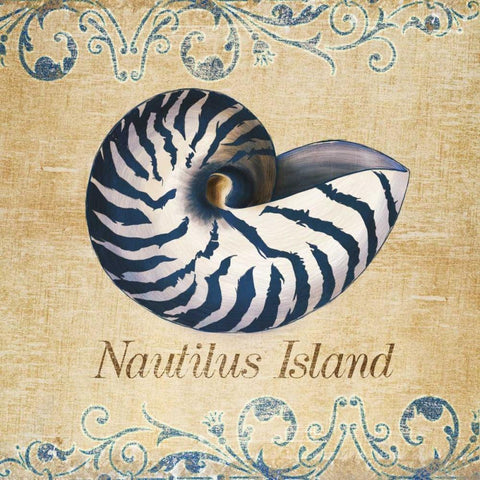 Nautilus Island White Modern Wood Framed Art Print with Double Matting by SD Graphics Studio