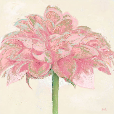 Pink Dahlia White Modern Wood Framed Art Print with Double Matting by Pinto, Patricia