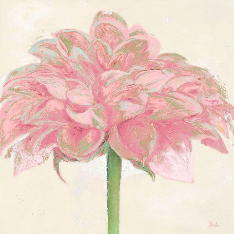 Pink Dahlia White Modern Wood Framed Art Print by Pinto, Patricia