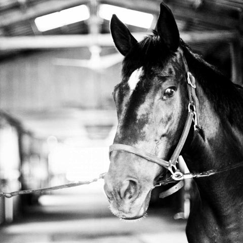 Derby Square I Gold Ornate Wood Framed Art Print with Double Matting by Bryant, Susan