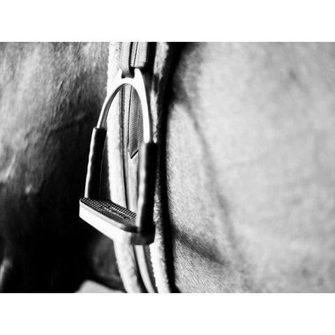 Horseback Riding II White Modern Wood Framed Art Print by Bryant, Susan