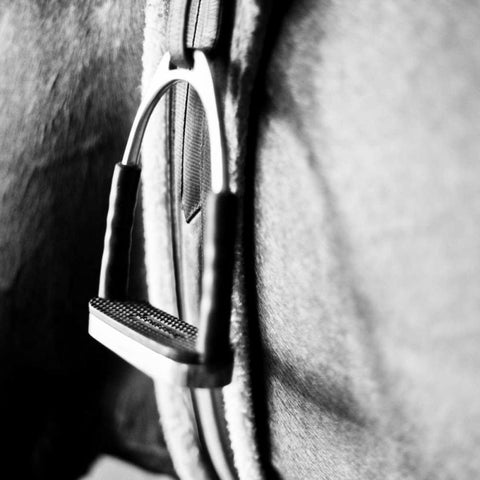 In the Stable II White Modern Wood Framed Art Print with Double Matting by Bryant, Susan