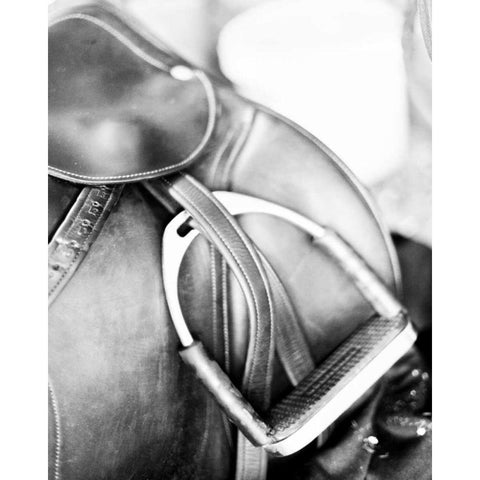 Derby II White Modern Wood Framed Art Print by Bryant, Susan