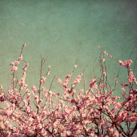 Springtime I Black Modern Wood Framed Art Print by Bryant, Susan