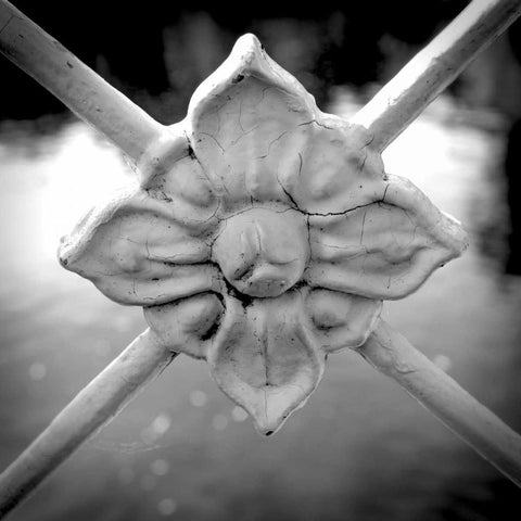 Over the Lake I Black Modern Wood Framed Art Print by Rodriguez, Jairo