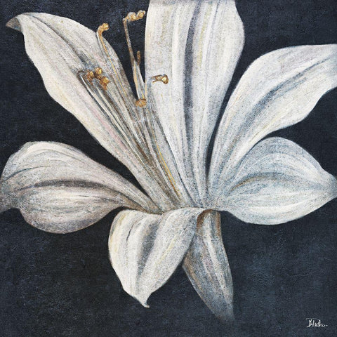 Lily of the Evening Nile White Modern Wood Framed Art Print by Pinto, Patricia