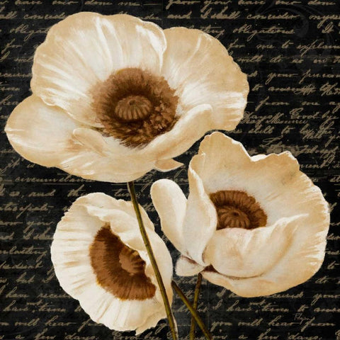 Evening Bloom II Black Modern Wood Framed Art Print with Double Matting by Rhyan, Vivien