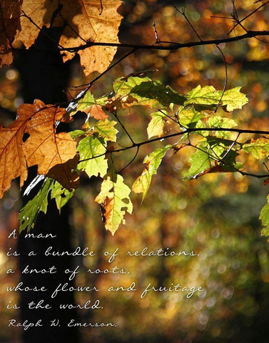 Bundle of Relations White Modern Wood Framed Art Print with Double Matting by Mansfield, Kathy