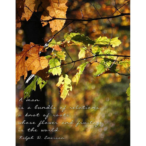 Bundle of Relations Black Modern Wood Framed Art Print by Mansfield, Kathy