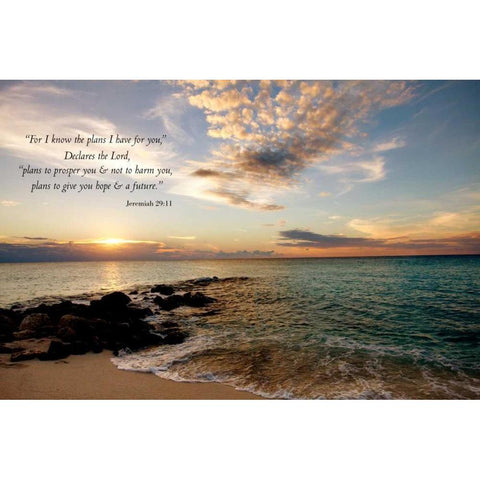 Plans I have for You Gold Ornate Wood Framed Art Print with Double Matting by Bryant, Susan