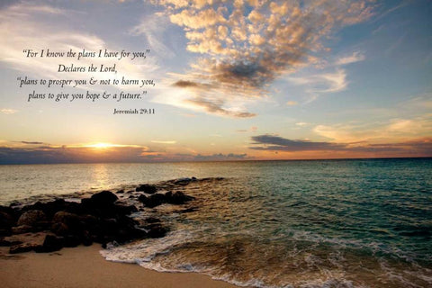 Plans I have for You Black Ornate Wood Framed Art Print with Double Matting by Bryant, Susan