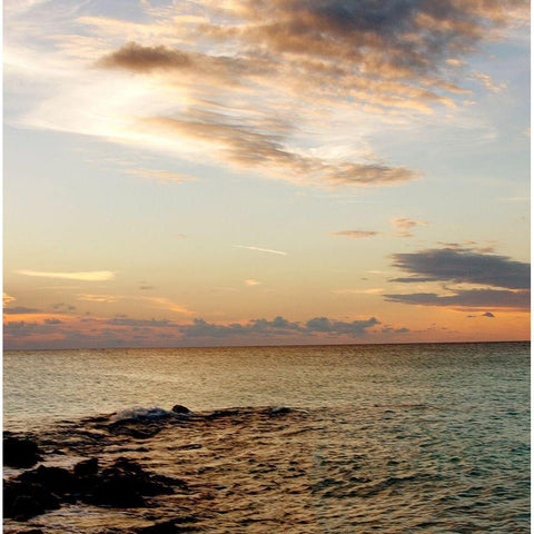 Bimini Seascape II Gold Ornate Wood Framed Art Print with Double Matting by Bryant, Susan