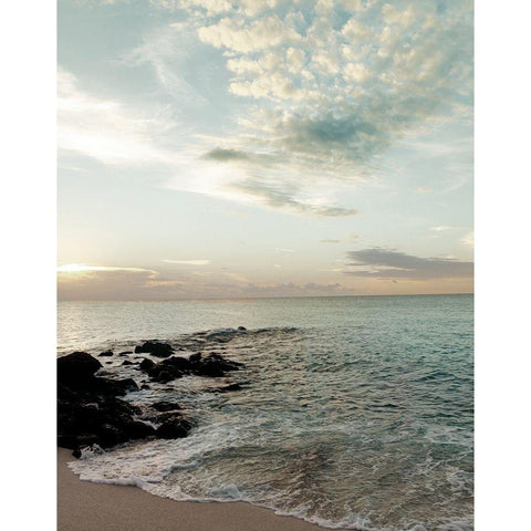 Cool Bimini Afternoon Gold Ornate Wood Framed Art Print with Double Matting by Bryant, Susan
