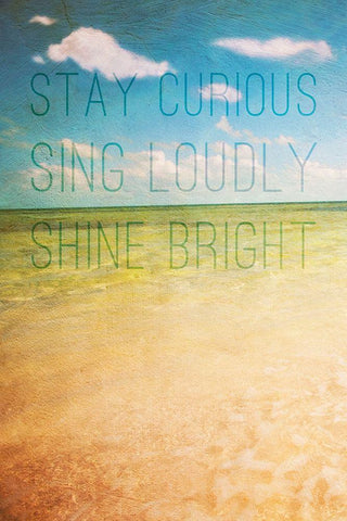 Stay Curious White Modern Wood Framed Art Print with Double Matting by Bryant, Susan