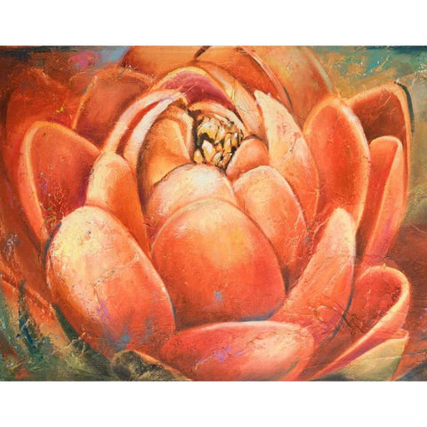 Red Lotus II Black Modern Wood Framed Art Print by Pinto, Patricia