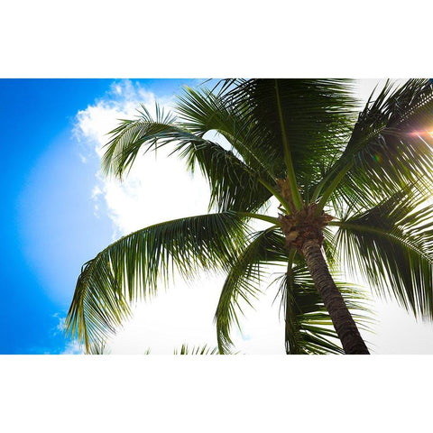 Take Me Away White Modern Wood Framed Art Print by Bryant, Susan