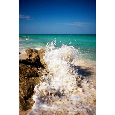Rising Tide II Gold Ornate Wood Framed Art Print with Double Matting by Bryant, Susan