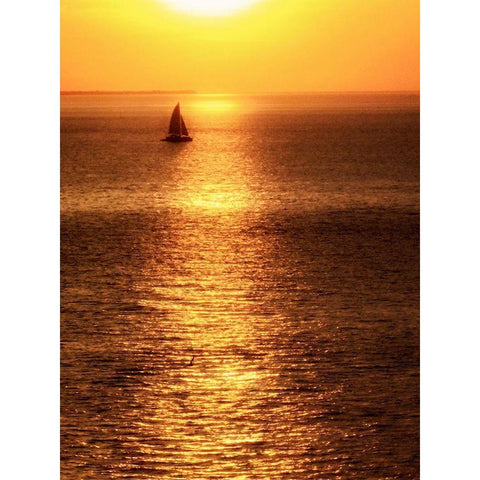 Sailboat at Sunset I Gold Ornate Wood Framed Art Print with Double Matting by Mansfield, Kathy