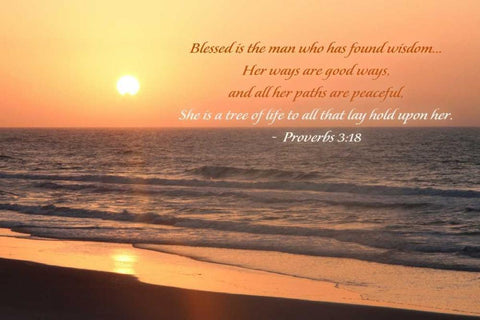 Sunrise I White Modern Wood Framed Art Print with Double Matting by Mansfield, Kathy