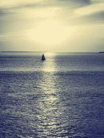 Sailboat at Blue Sunset Black Ornate Wood Framed Art Print with Double Matting by Mansfield, Kathy