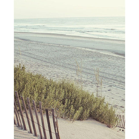 Beach Fence I Black Modern Wood Framed Art Print with Double Matting by Mansfield, Kathy