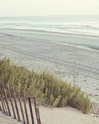Beach Fence I White Modern Wood Framed Art Print with Double Matting by Mansfield, Kathy