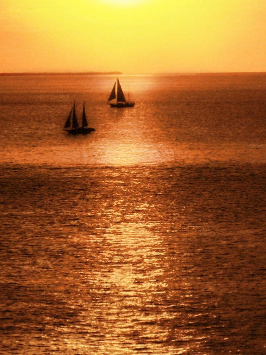 Image Only