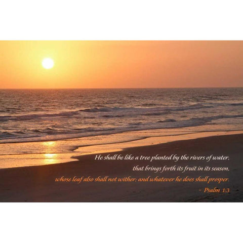 Sunrise II Black Modern Wood Framed Art Print with Double Matting by Mansfield, Kathy