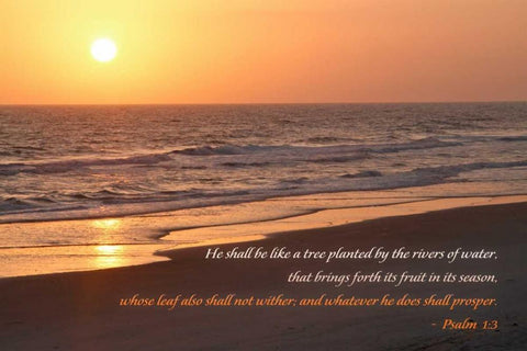 Sunrise II White Modern Wood Framed Art Print with Double Matting by Mansfield, Kathy