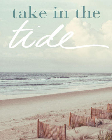 Take in the Tide Black Ornate Wood Framed Art Print with Double Matting by Mansfield, Kathy