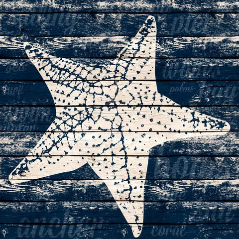 Coastal Wonder IV Black Modern Wood Framed Art Print by Ritter, Gina