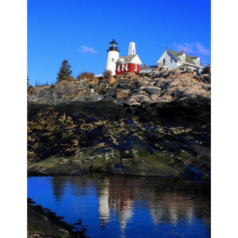 Pemaquid Point II Gold Ornate Wood Framed Art Print with Double Matting by Veilleux, Jason