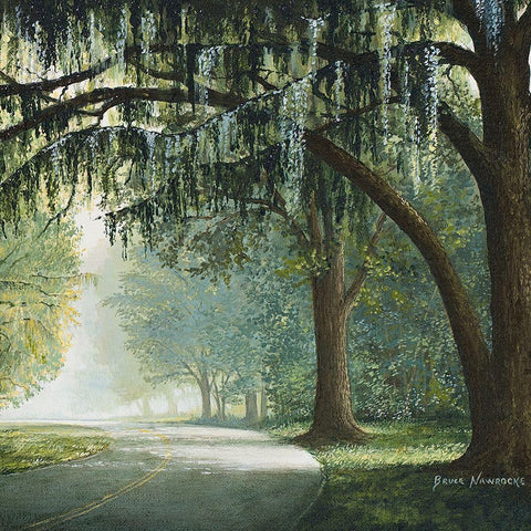 Lake Shore Drive I White Modern Wood Framed Art Print with Double Matting by Nawrocke, Bruce
