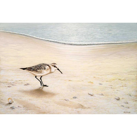 Morning Stroll White Modern Wood Framed Art Print by Nawrocke, Bruce